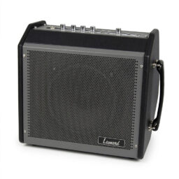AMPLIFICADOR LEONARD PARA BATERIA-TECLADO-VOZ-30W-MODO GRABACION-BLUETOOTH