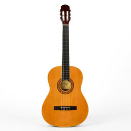 GUITARRA CLÁSICA LEONARD 4/4 TAPA PINO CON ALMA