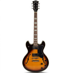 GUITARRA ELÉCTRICA LEONARD DE CAJA 335